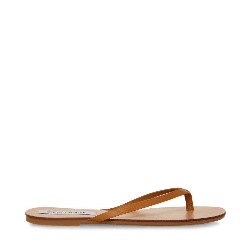 Brown Steve Madden Image Leather Women\'s Flip Flops | PH 7341GNJ